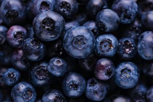 blueberries, fruits, harvest